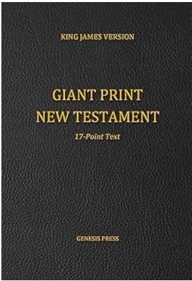 giant print new testament
