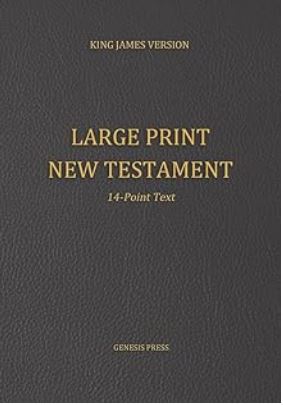 large print new testament