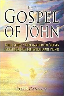 the gospel of john